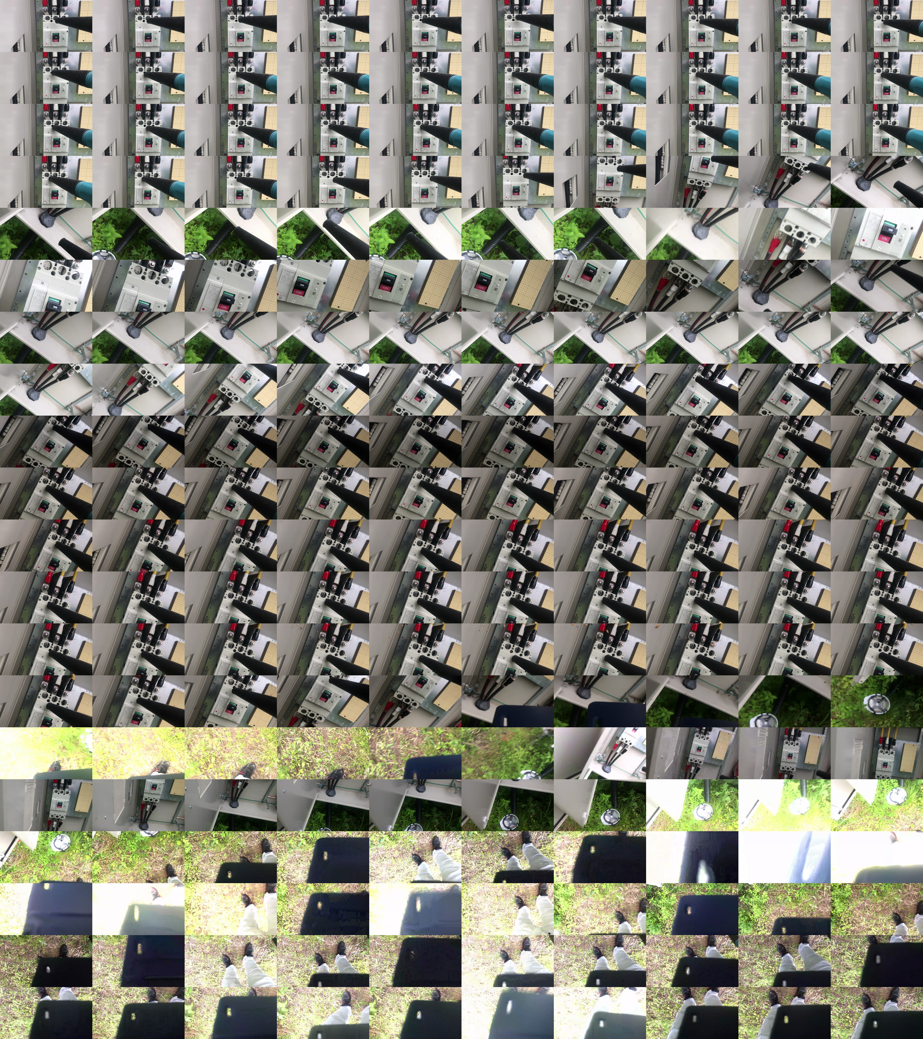 まるで「散弾銃」、停止したブレーカーからアリの卵やサナギが噴出