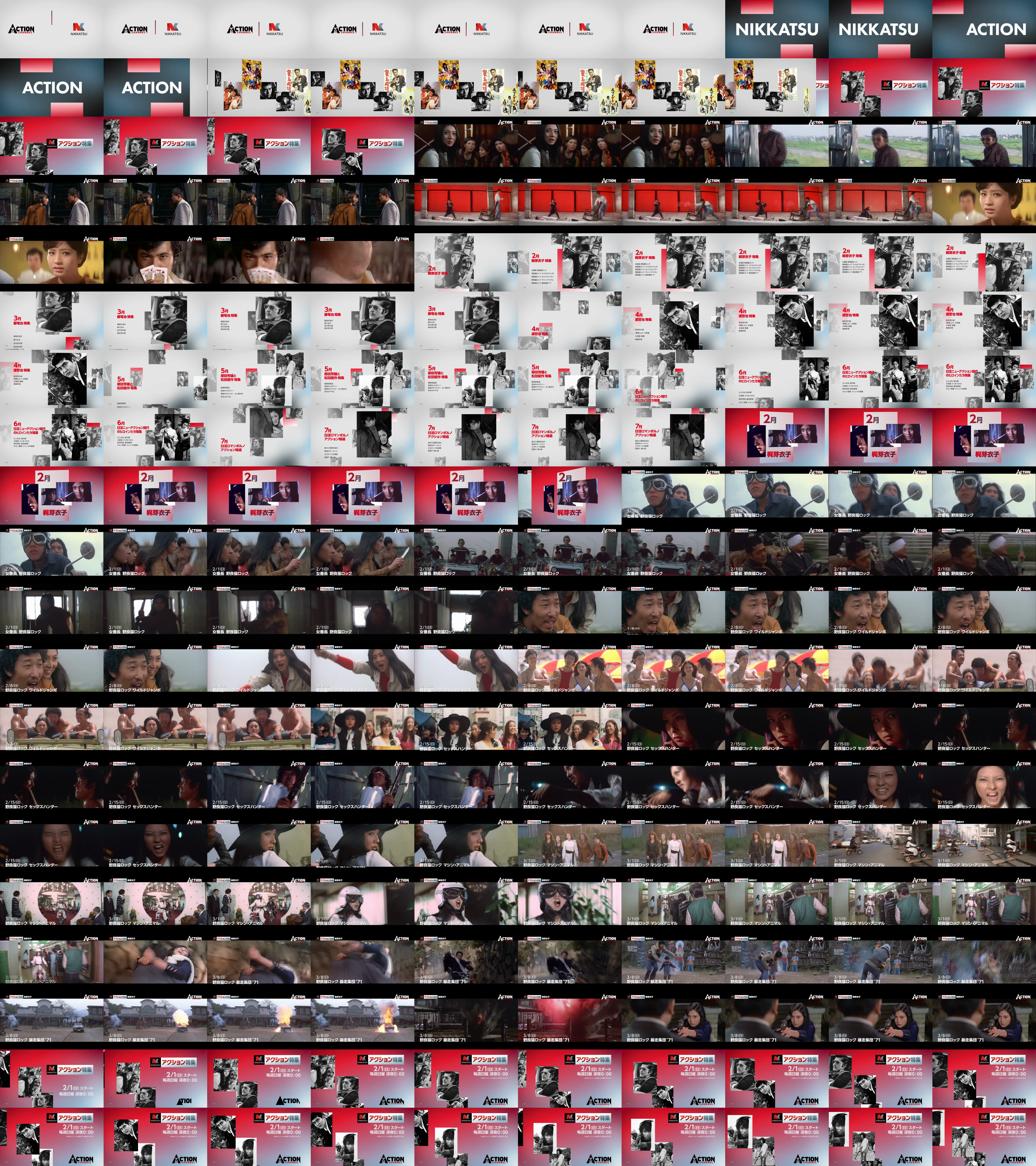 野良猫ロック セックスハンター｜アクションチャンネル ～日本唯一の